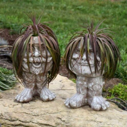 Mad About Mangave® 'Bad Hair Day' Mangave -Plant Series Mangave BadHairDay Mangave