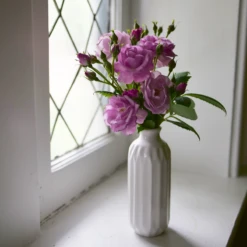 Rise Up Lilac Days™ Climbing Rose 10 Rise Up Lilac Days™ Climbing Rose -Plant Series RosaRiseUpLilacDaysP1173972 800x800 2fcb2d6